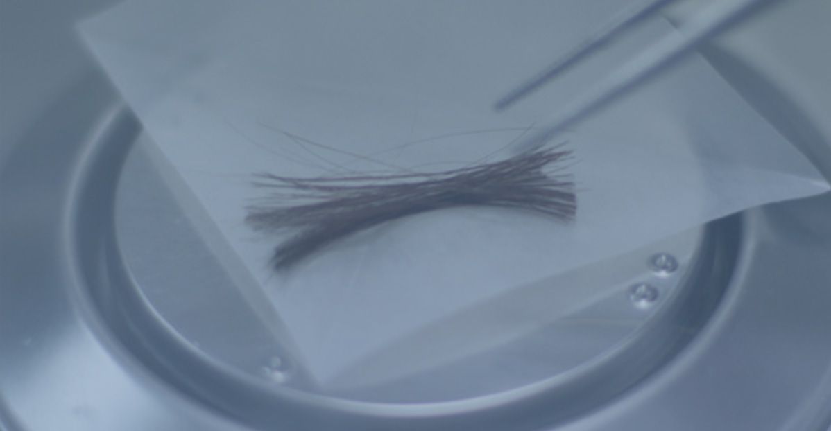 hair sample for school drug test