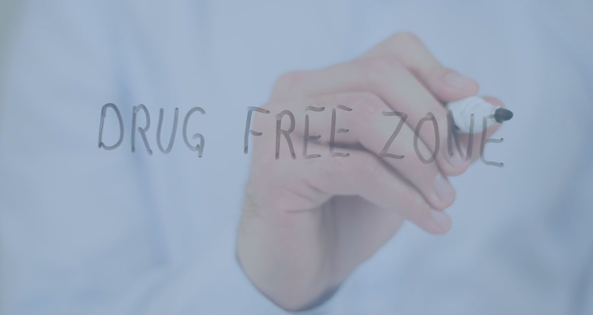 education-whiteboard saying drug free zone